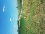 20190804_150319.jpg