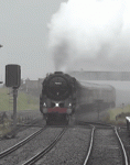tumblr_p1csdzez5v1tjv47oo4_250.gif