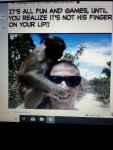 monkey.jpg
