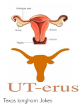 fallopian-tube-ovary-uterus-cervix-vagina-ut-erus-texas-longhorn-jokes-49340688.png
