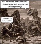 FB_IMG_1566016571437.jpg