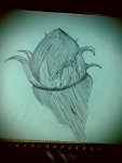 20190912_091053.jpg