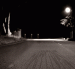 Racoon.gif