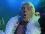 giphy (27).gif