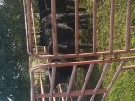 20191015_085704.jpg