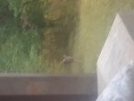20191025_115712.jpg