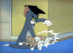 tom.gif