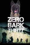 dog hero.jpg