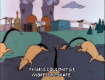 1572482576164.gif