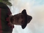 20191031_174948.jpg