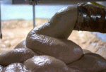 1647652985063.gif