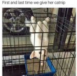 1648473751489.png