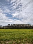 IMG_20220330_102827970_HDR.jpg
