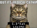 1649329980067.png