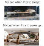 1649812264646.png