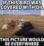 1649824597155.png