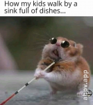 1649970137049.png