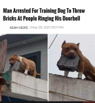 1650469090798.png