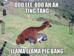 1650737095928.png