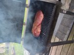IMG_20220424_062432276.jpg
