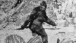 105951036-1559761167164bigfoot (1).jpg