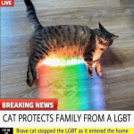 1651430457952.png