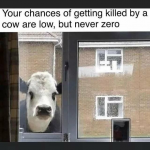 1651928699581.png