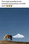1652476516652.png