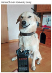 1653876977745.png