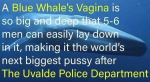 1654250442272.png