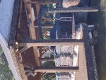 IMG_20220604_072607321.jpg