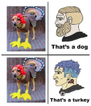 1654616580523.png