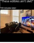 F4DDDF31-C4E1-4308-87DC-B19C3A0226CC.jpeg