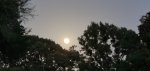 20220613_210028.jpg