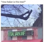 1655388284677.png