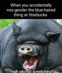1655388609993.jpeg