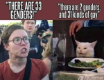 1655582112864.png