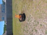 fire.jpg