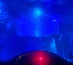 20220627_223142.jpg