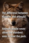1656588668462.png
