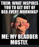 1657054139951.png