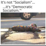 1657054701769.png