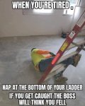 FB_IMG_1656953111973.jpg