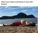 1657136848267.png