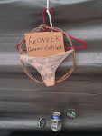 dream catcher.png