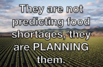 1657324239671.png