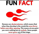 1657475879678.png