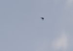 20220713_204136.jpg