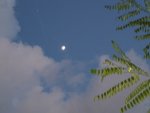 20220718_053346.jpg