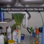 1658343341078.png